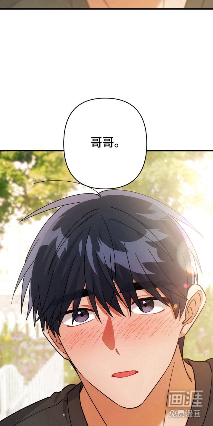 第54章：现实打击