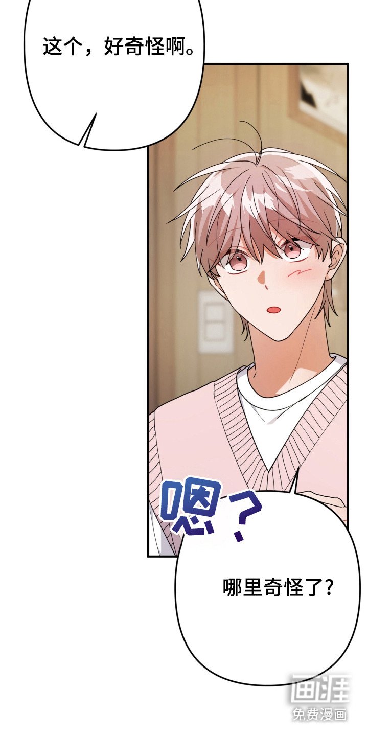 第56章：故乡