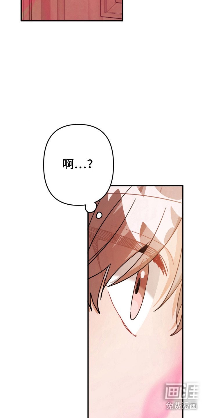 第57章：发生情况
