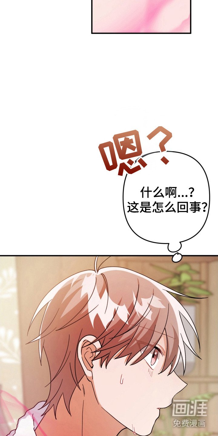 第57章：发生情况