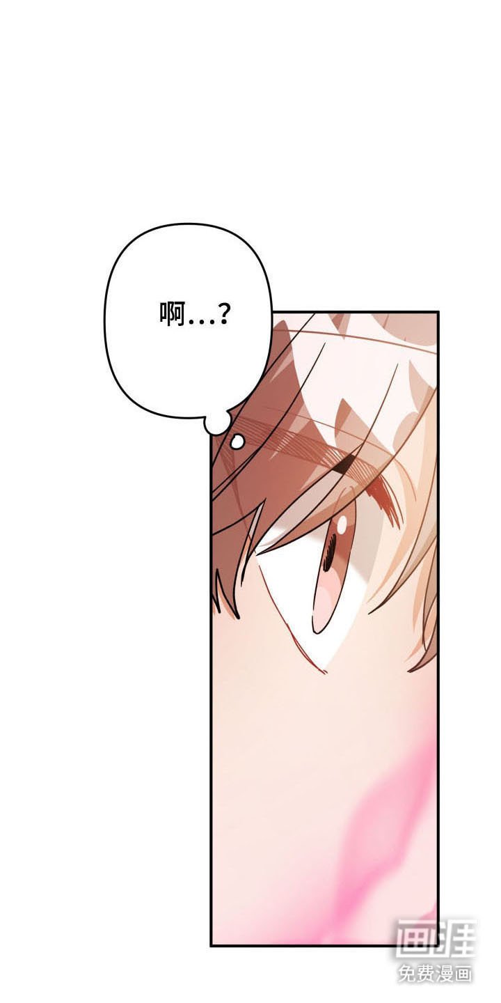 第58章：分化