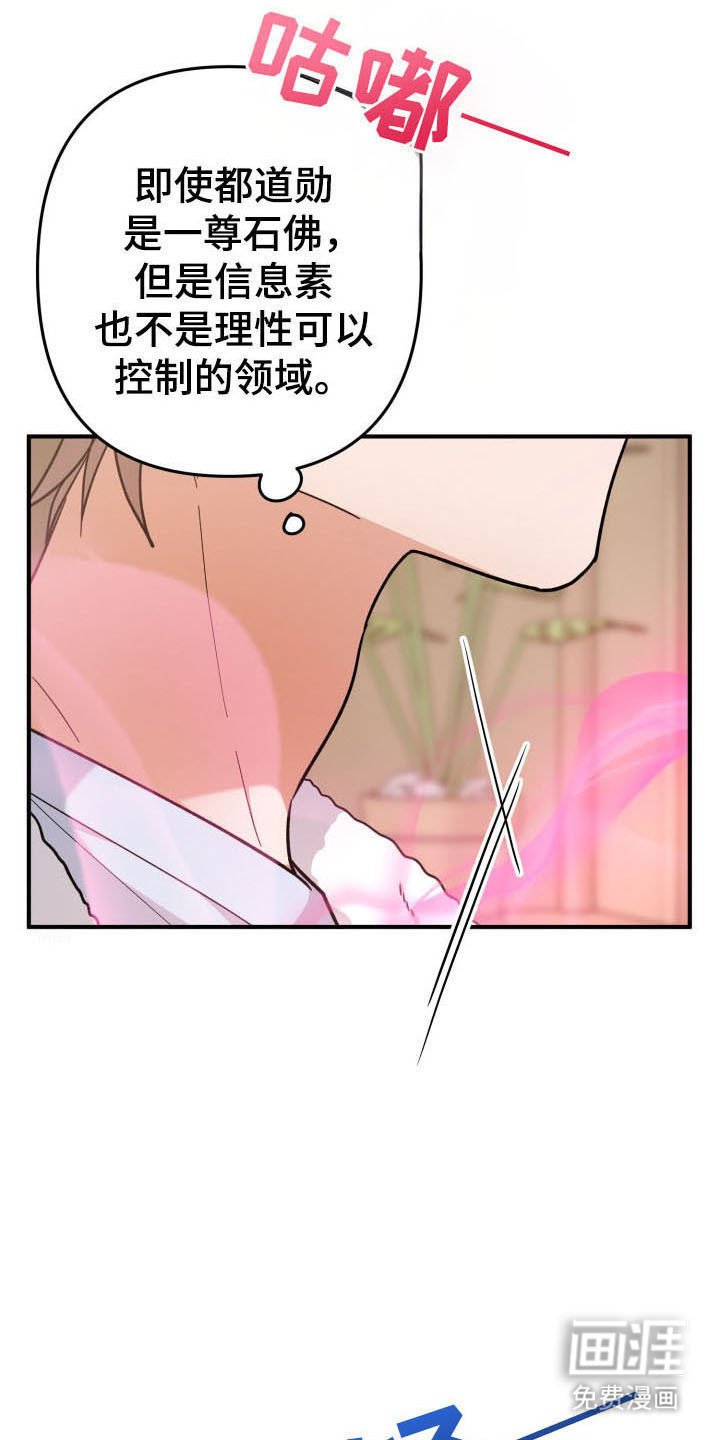 第58章：分化