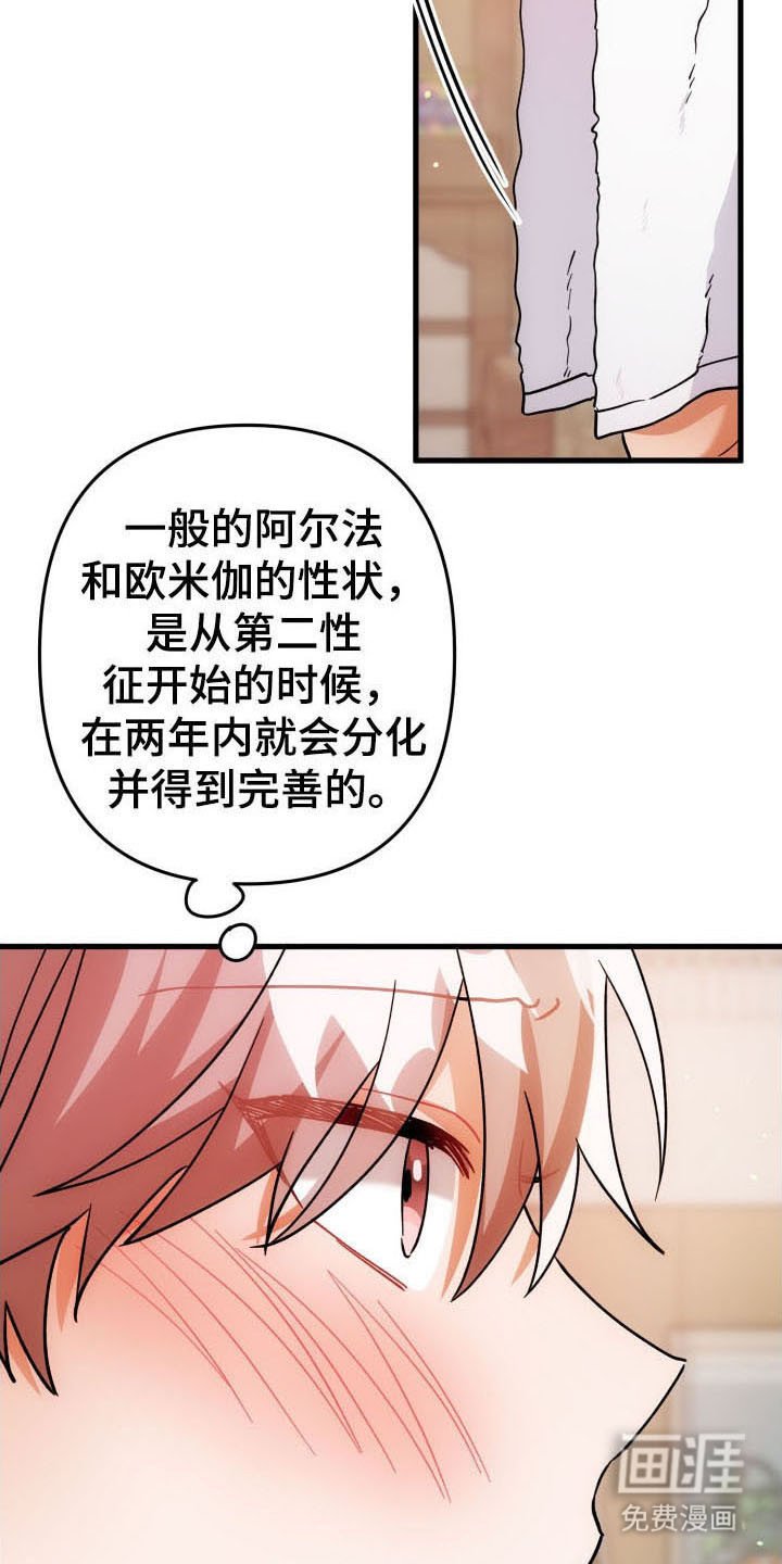 第58章：分化