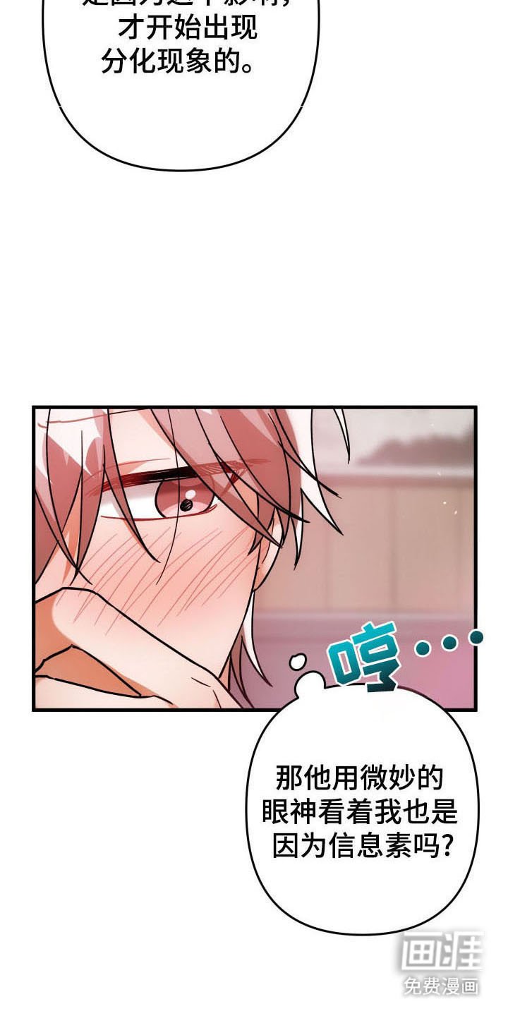 第59章：玫瑰香气