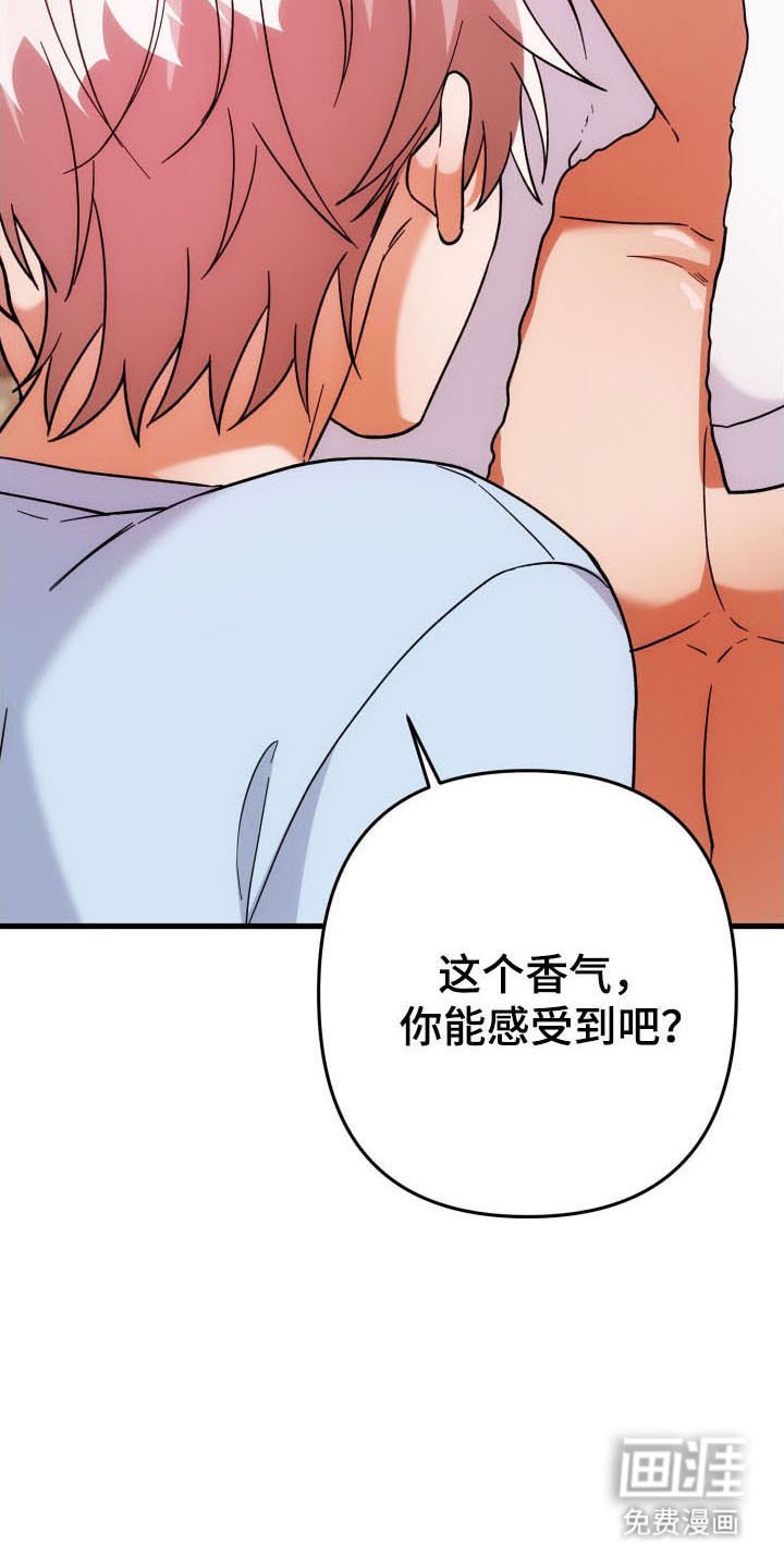 第59章：玫瑰香气