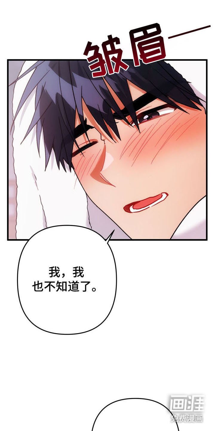 第59章：玫瑰香气