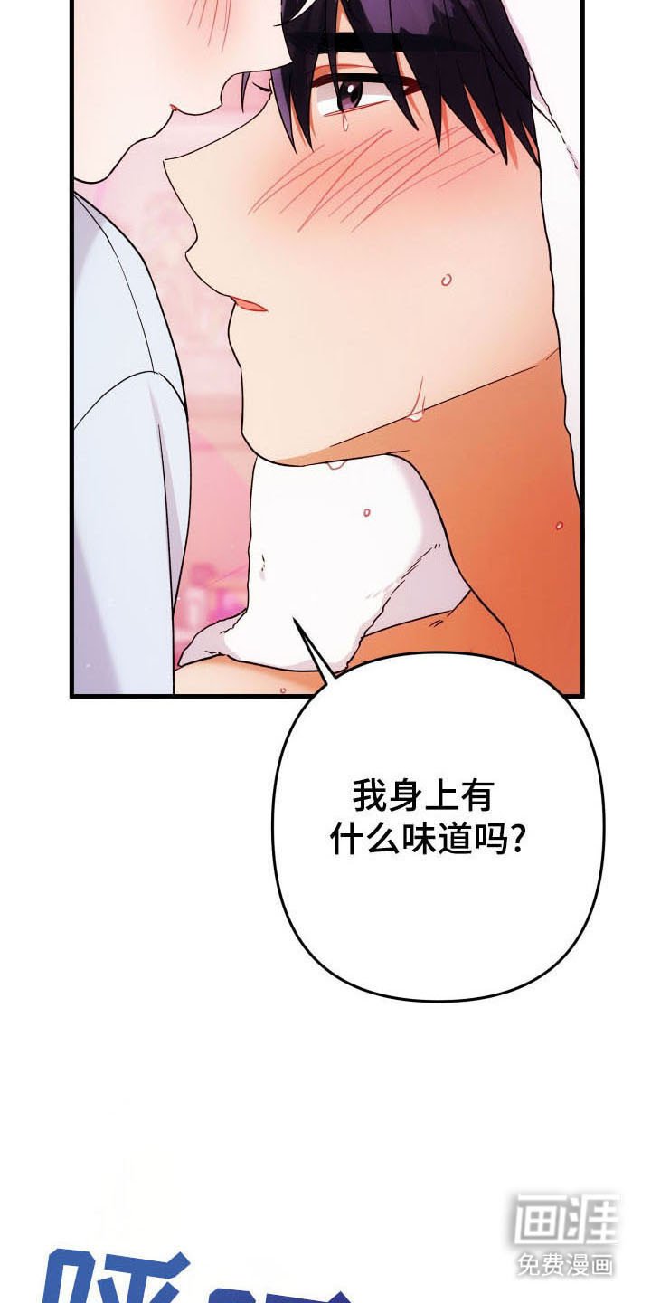 第59章：玫瑰香气