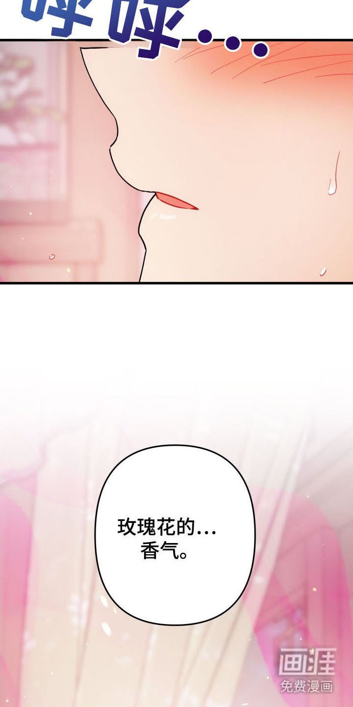 第59章：玫瑰香气