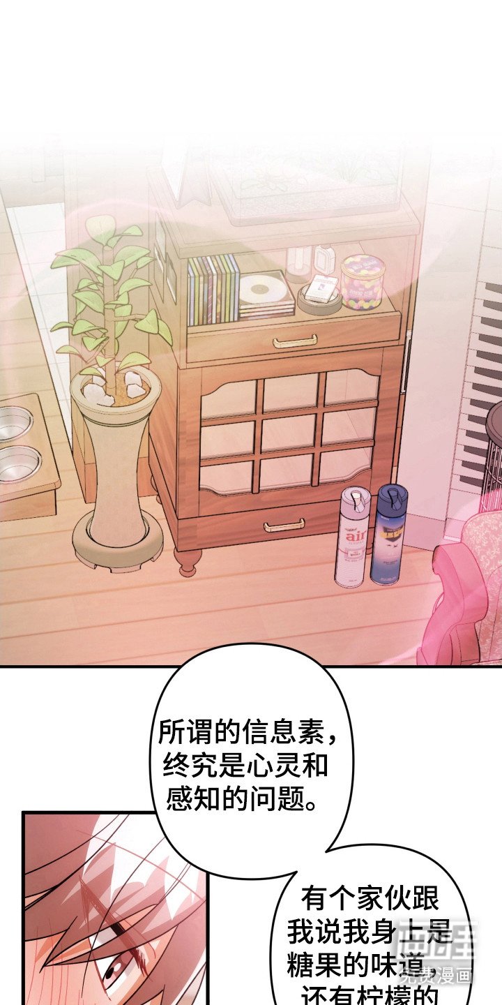 第60章：玫瑰气息