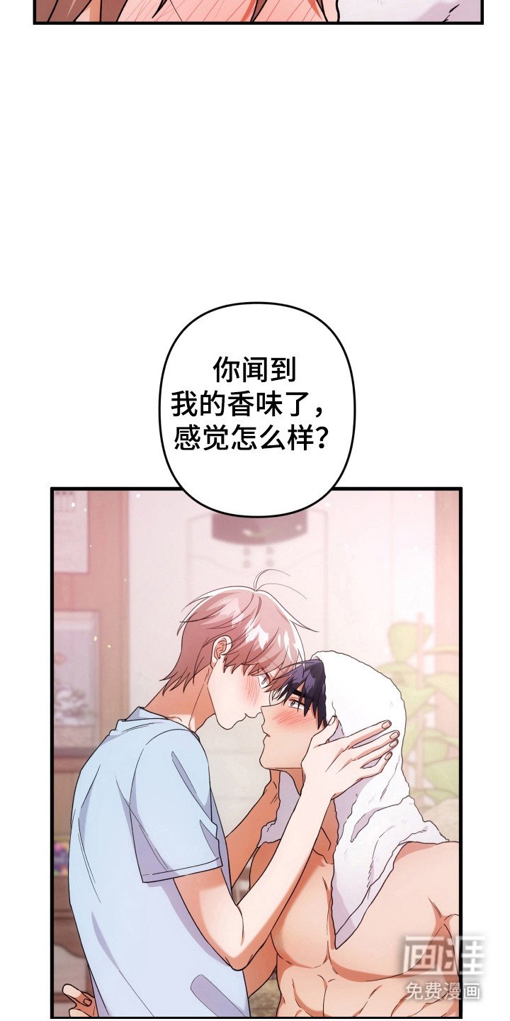 第60章：玫瑰气息
