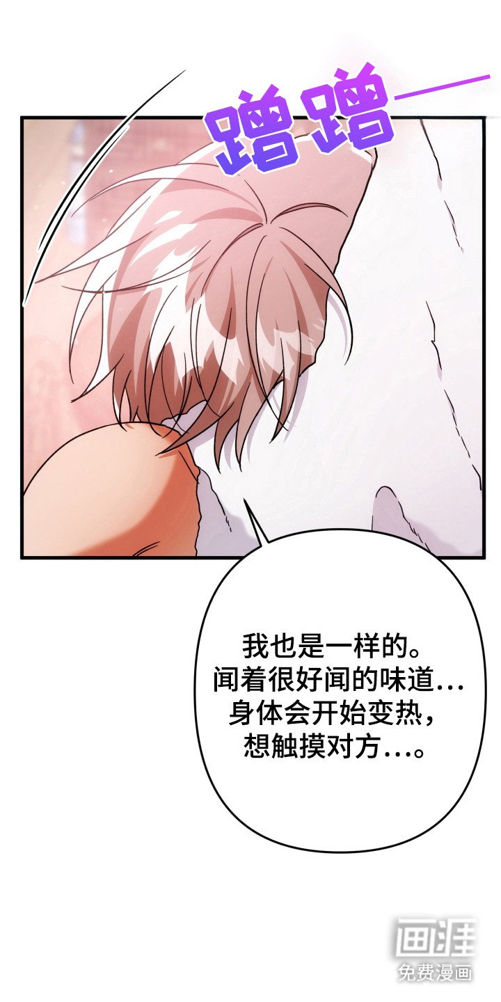 第61章：触碰