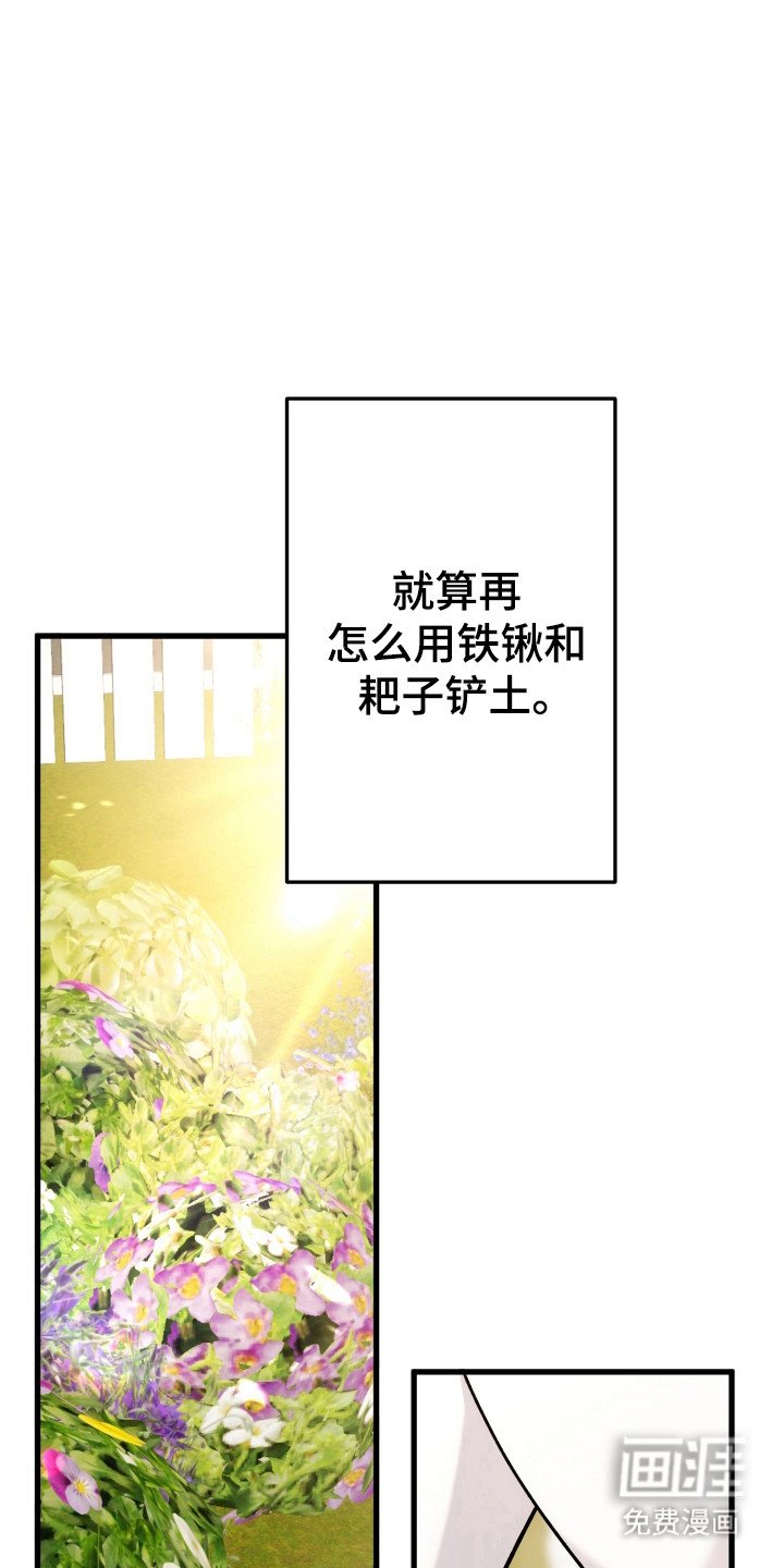 第63章：模糊的梦