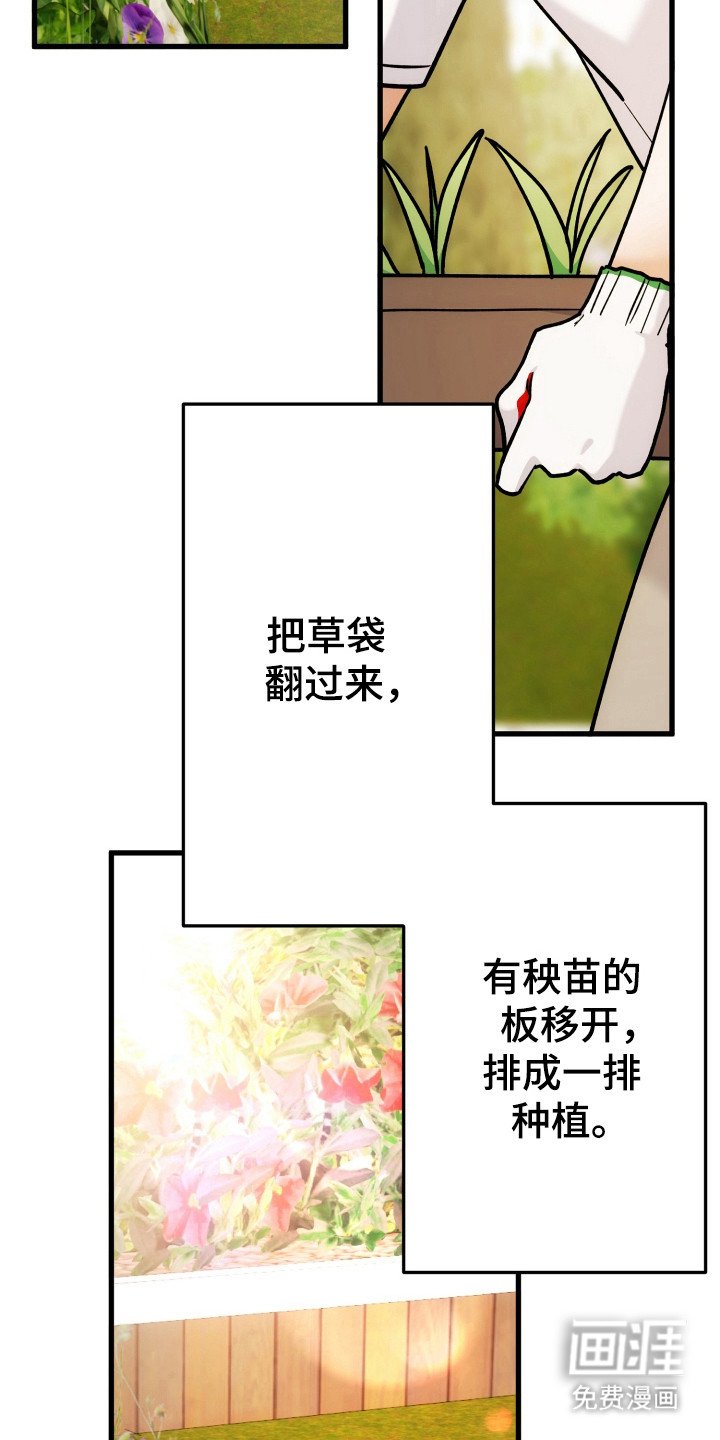 第63章：模糊的梦