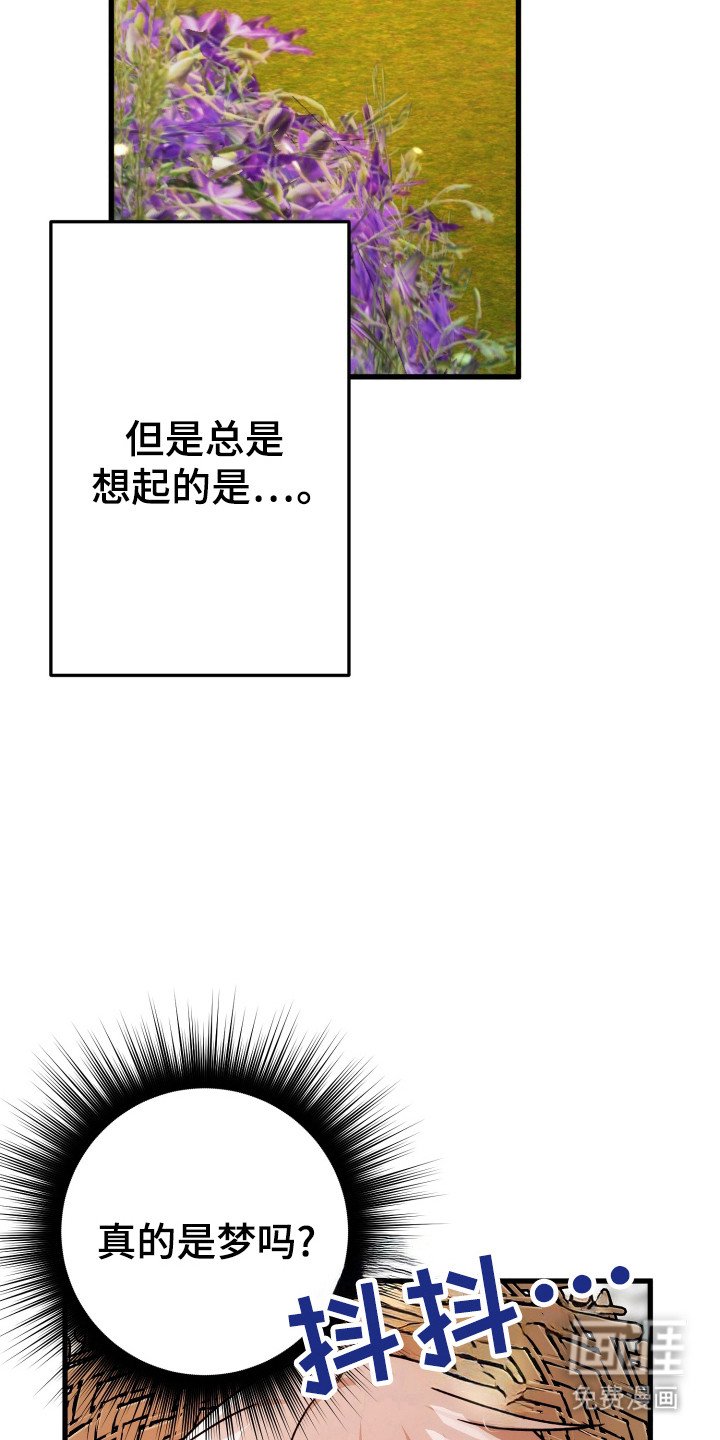 第63章：模糊的梦