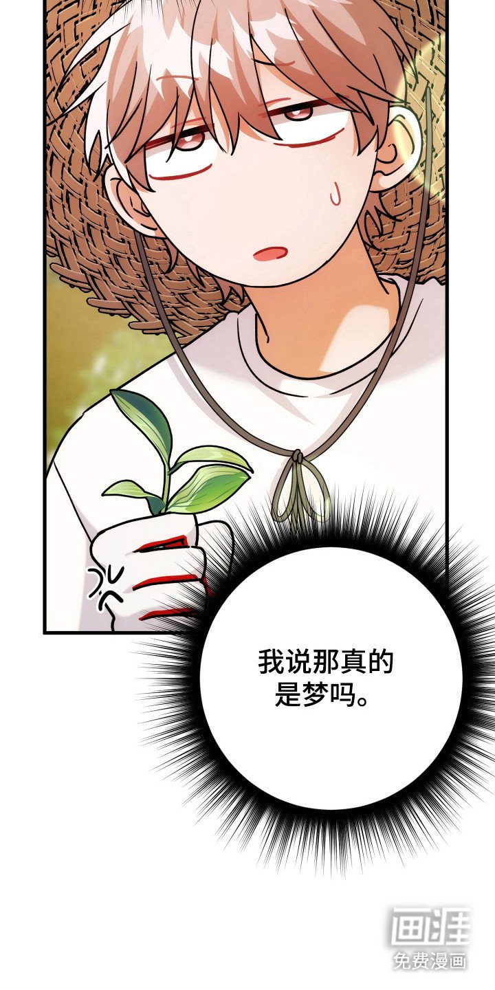 第63章：模糊的梦