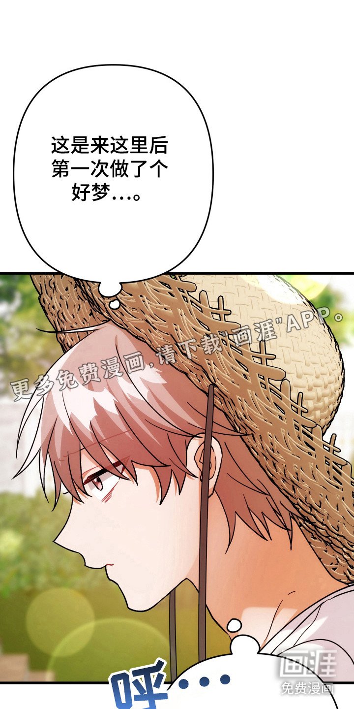 第63章：模糊的梦
