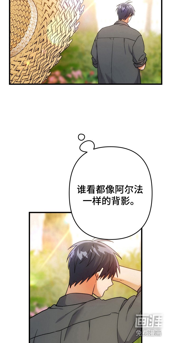 第63章：模糊的梦