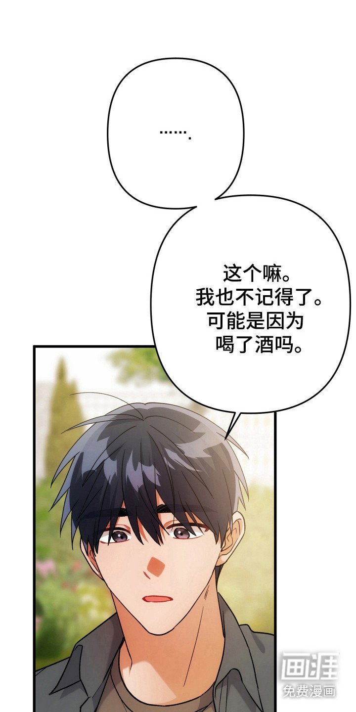 第63章：模糊的梦