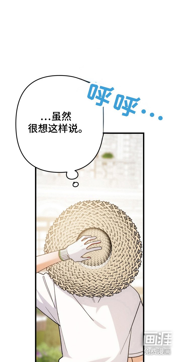 第63章：模糊的梦