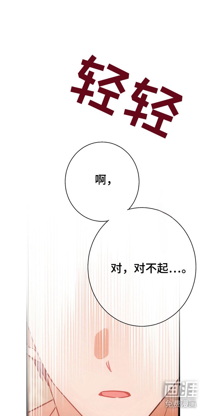 第63章：模糊的梦