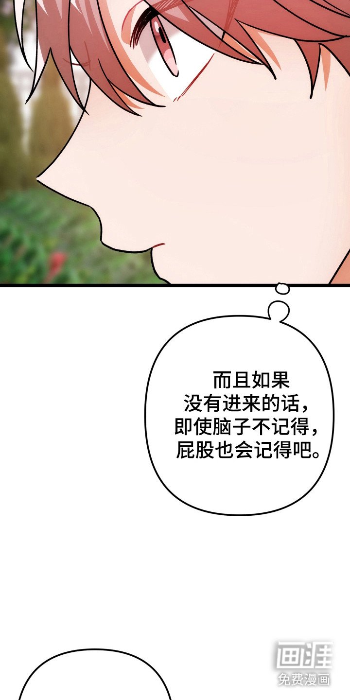 第64章：顺其自然