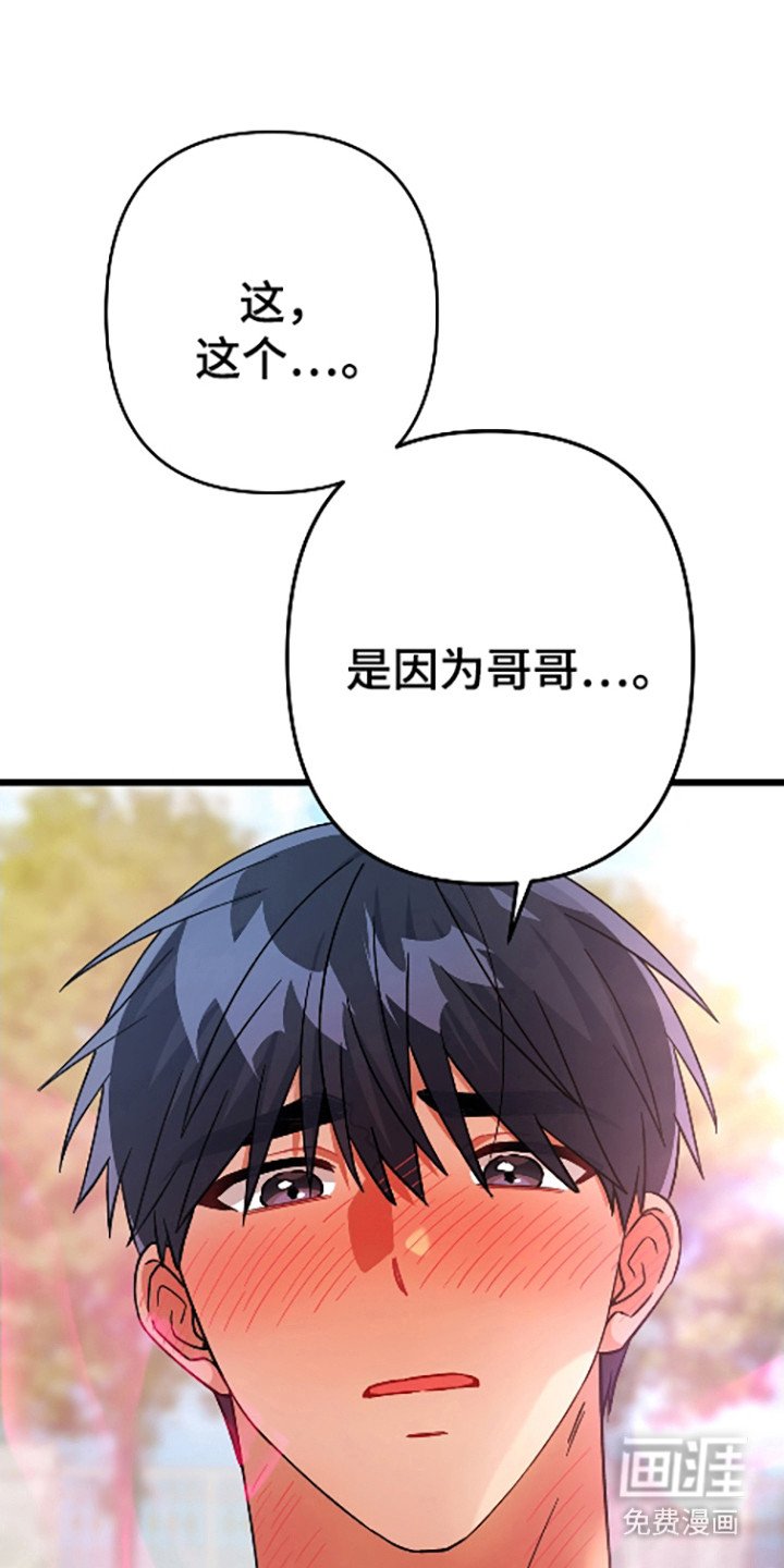 第65章：装模作样