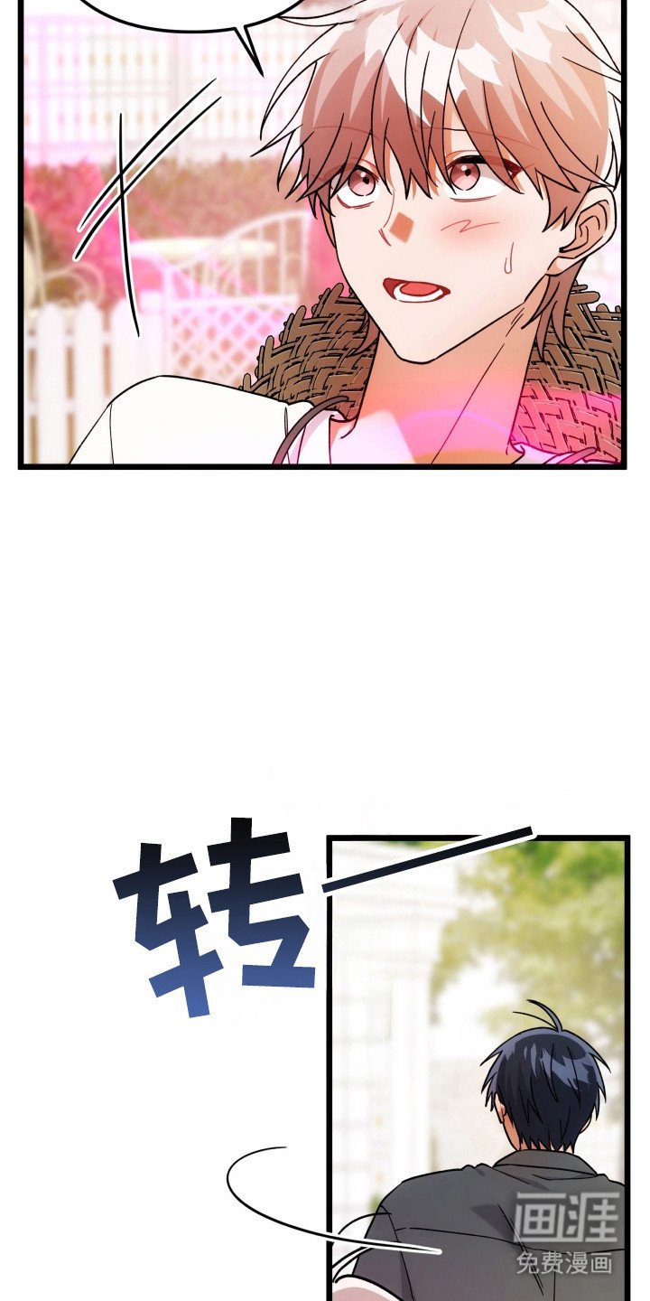 第65章：装模作样