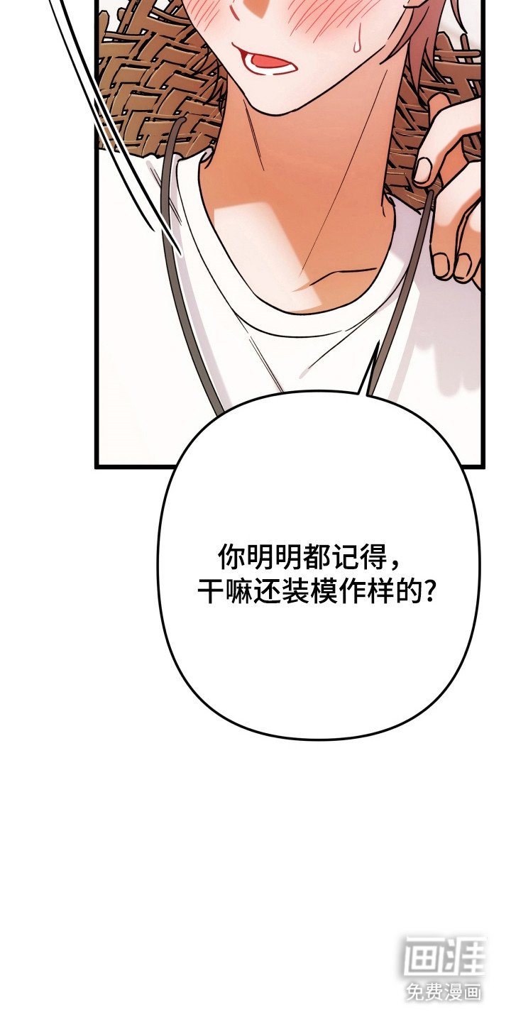 第65章：装模作样