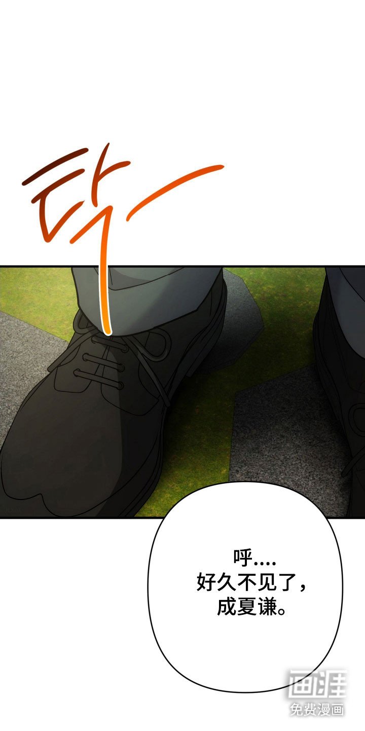 第82章：见面