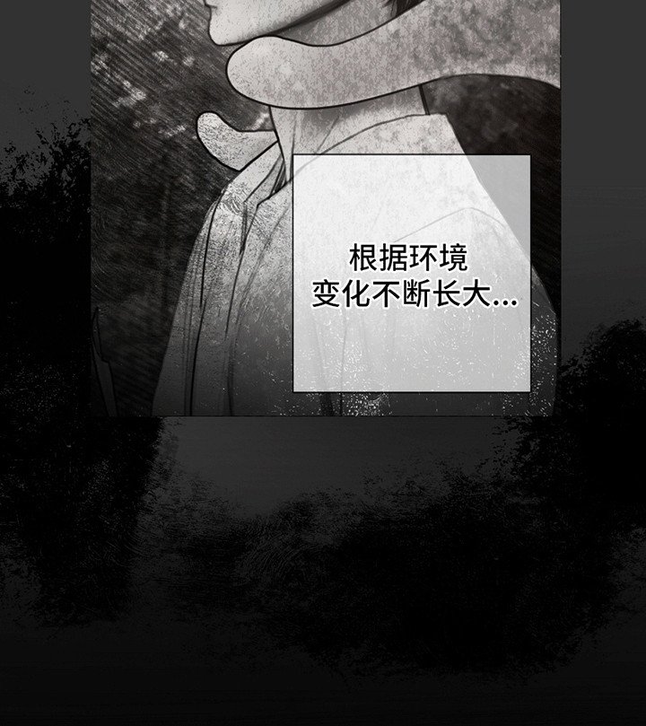 第2章：袭击