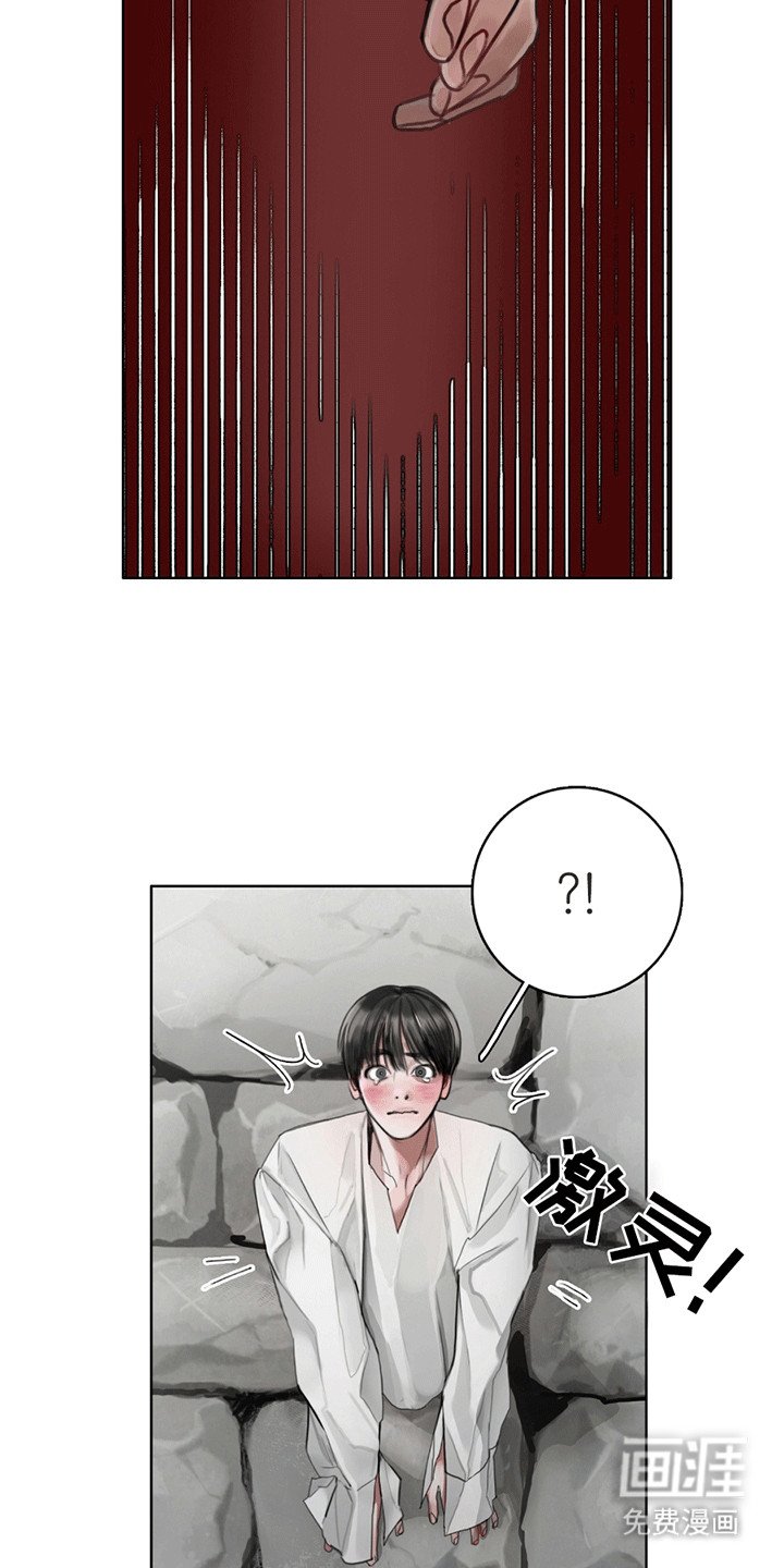 第4章：暴露