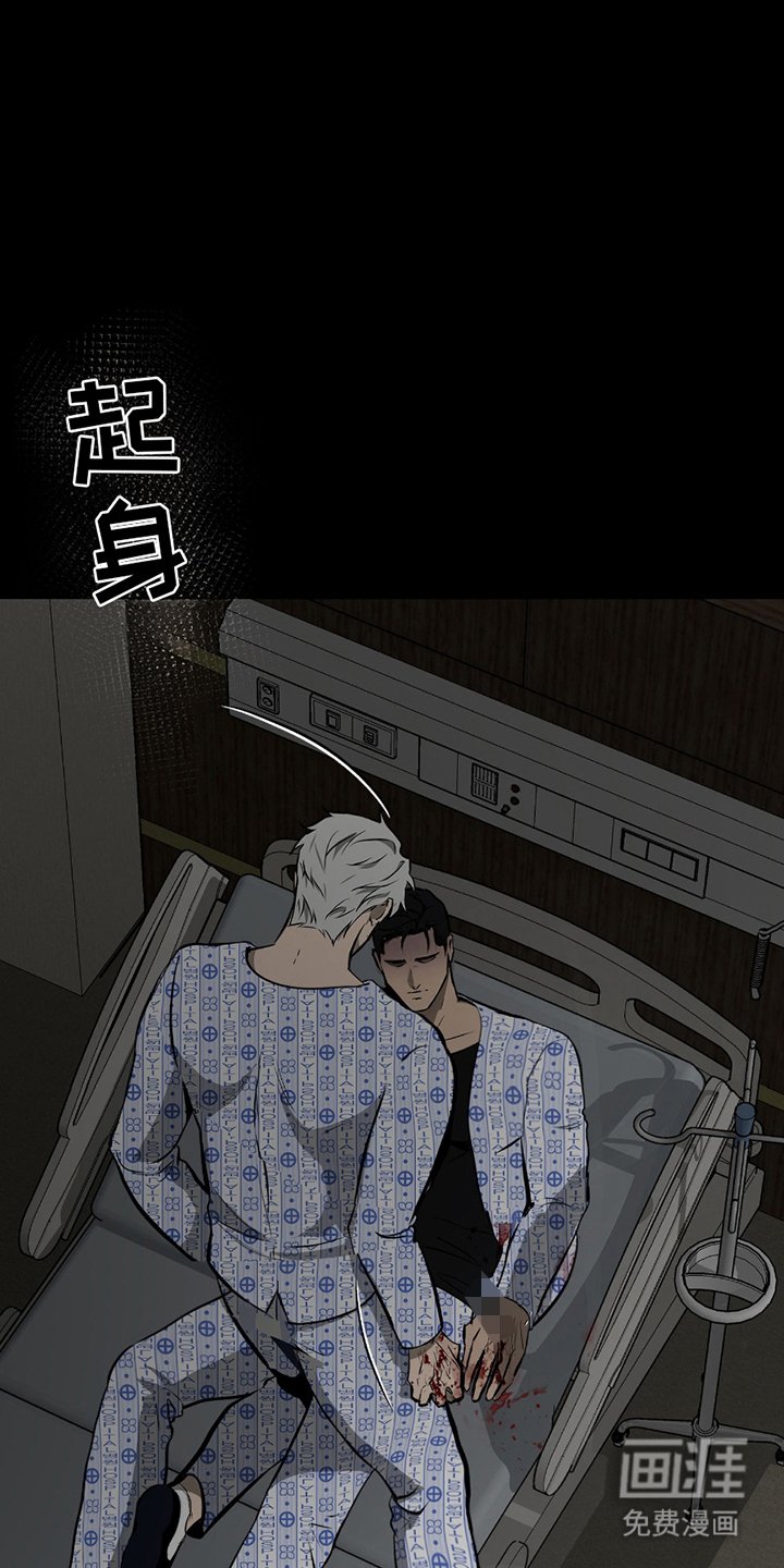 第5章：出现