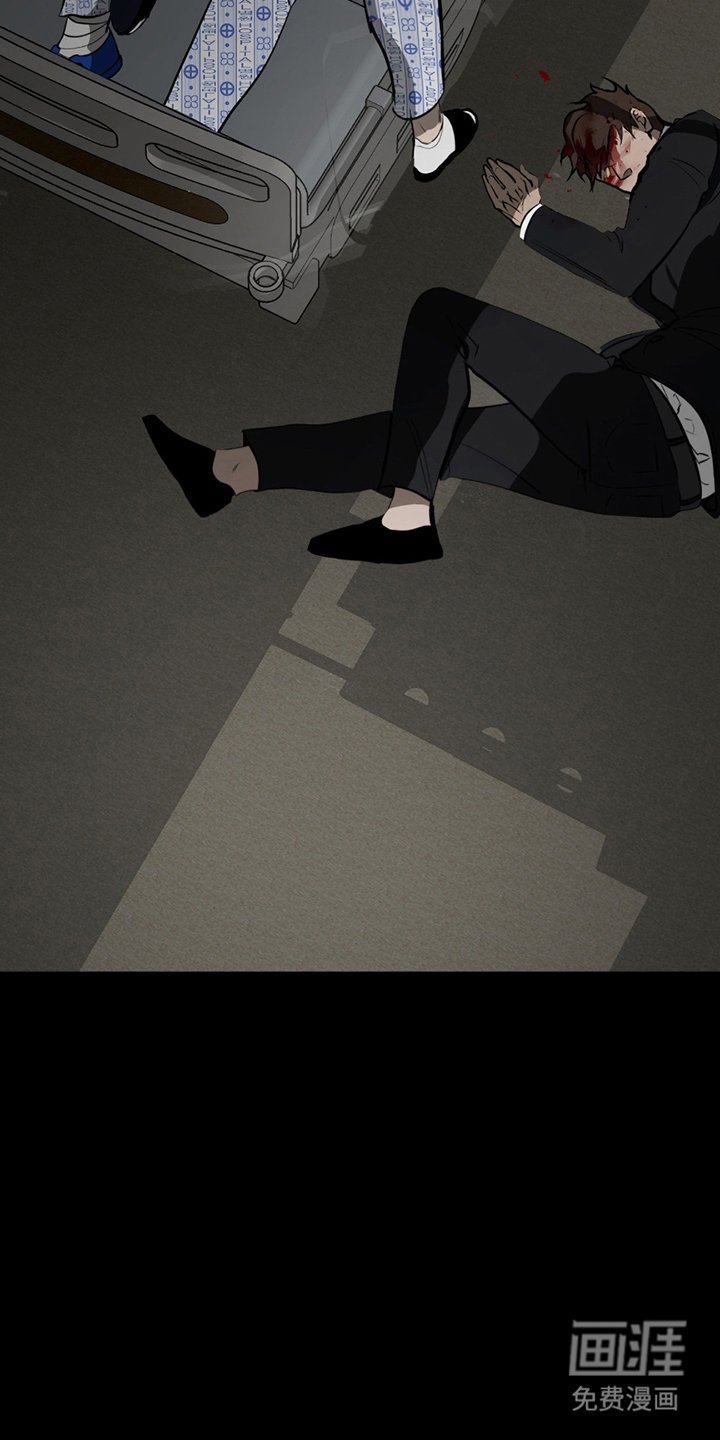 第5章：出现