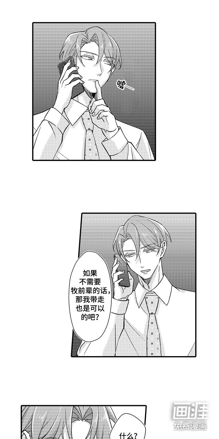 第16章：拒绝