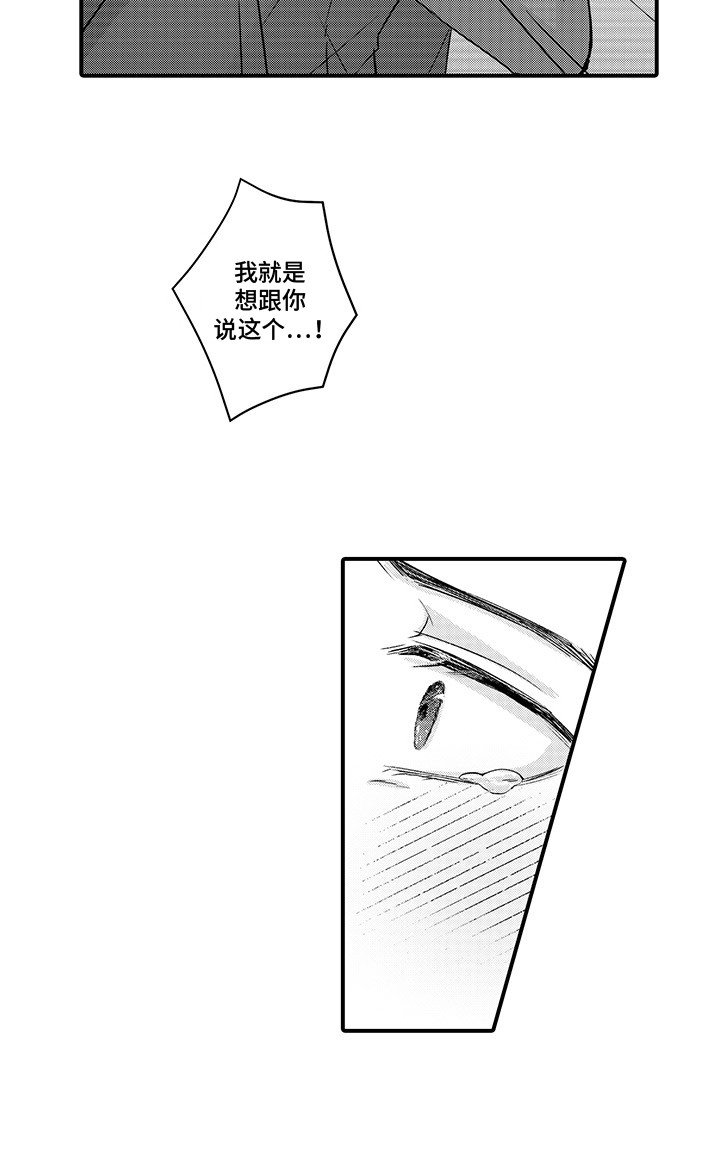 第17章：告白