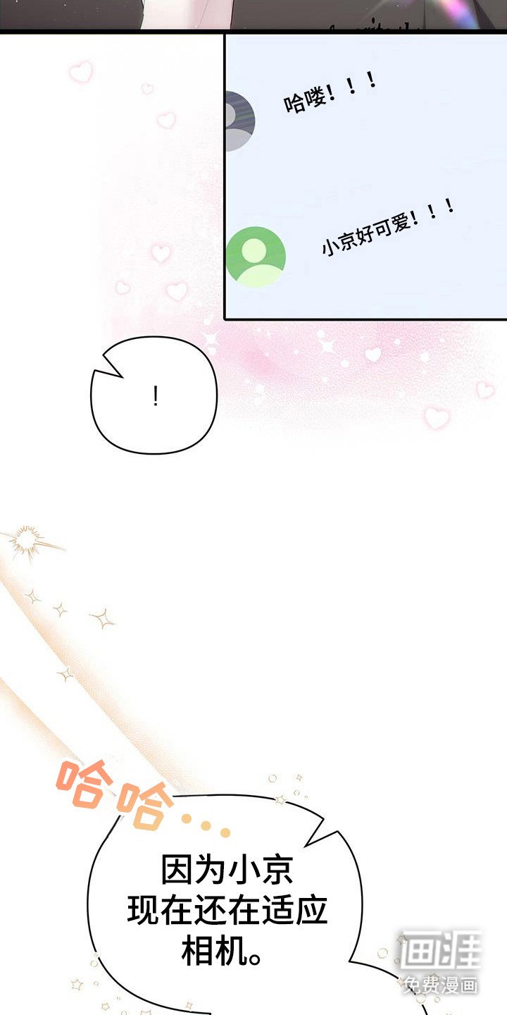 第29章：泄露