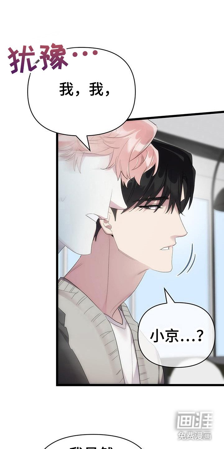 第29章：泄露