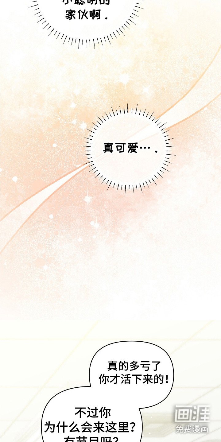 第61章：小京的类型