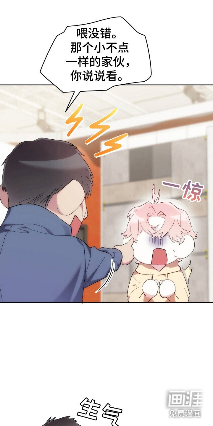 第63章：多多关照