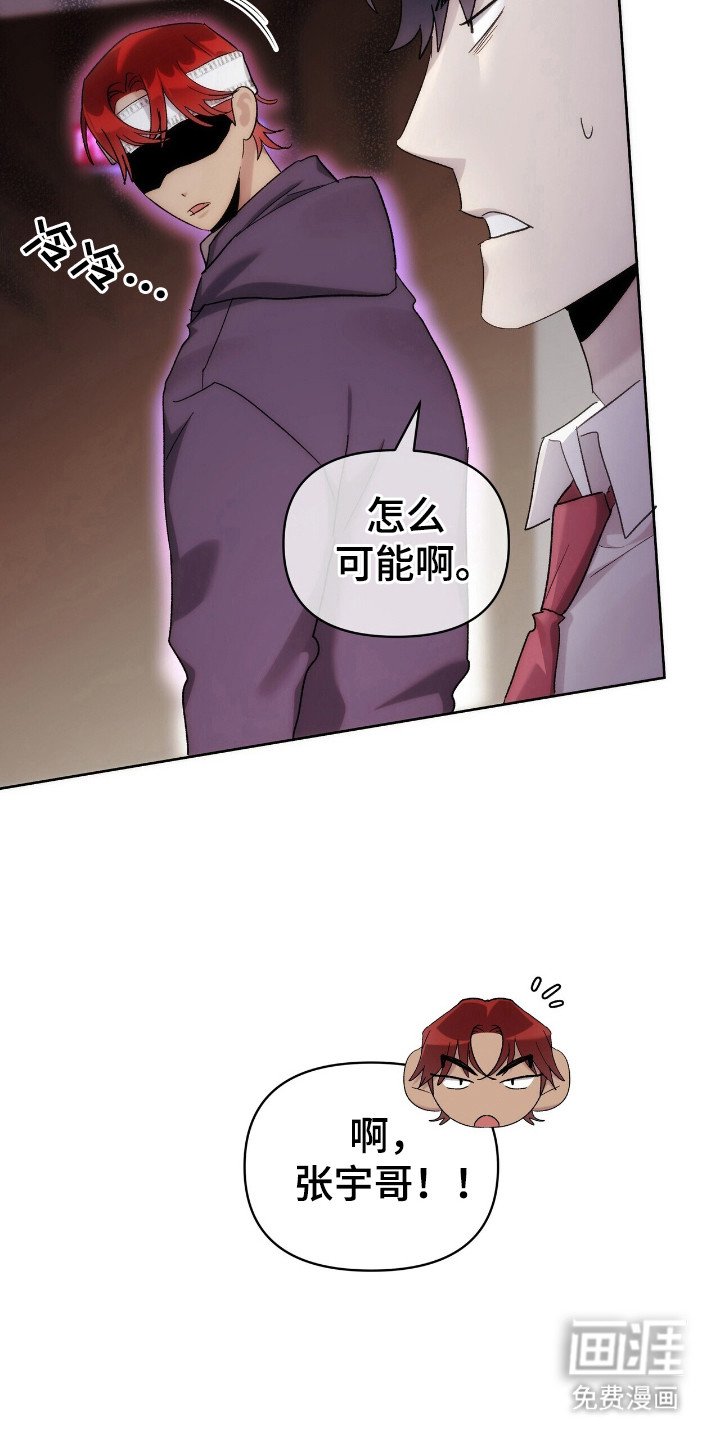 第65章：幻影