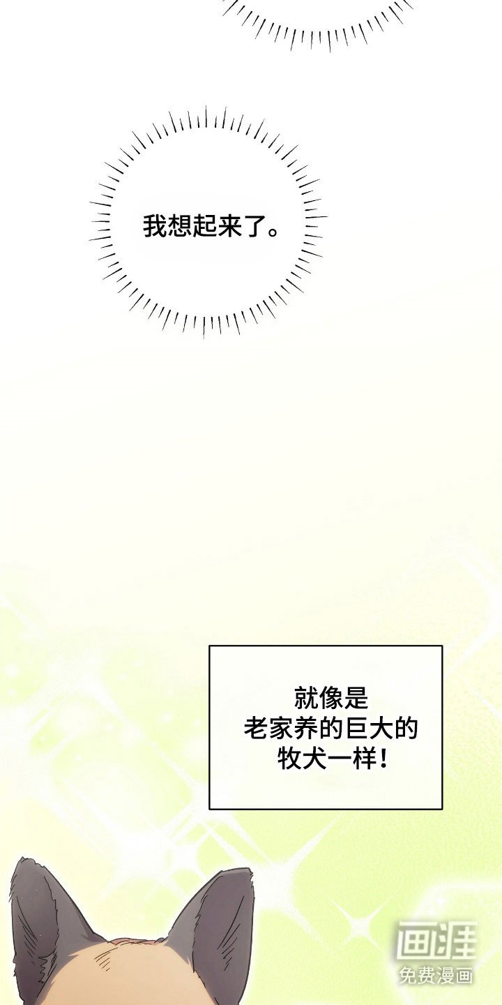 第82章：回来吧