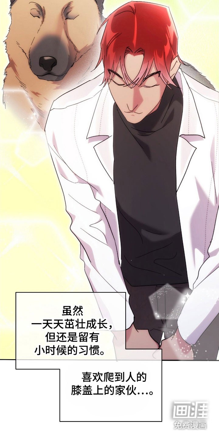 第82章：回来吧