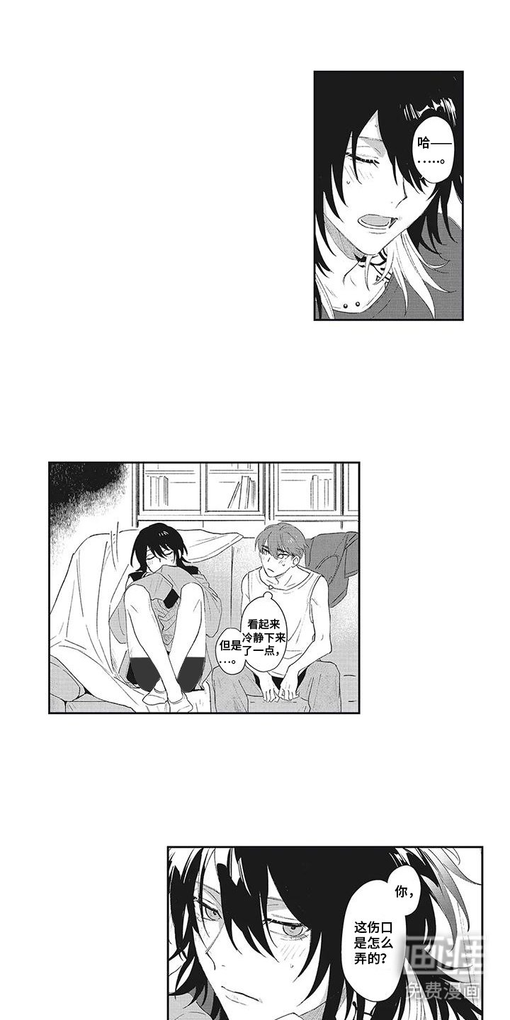 第11章：有点在意