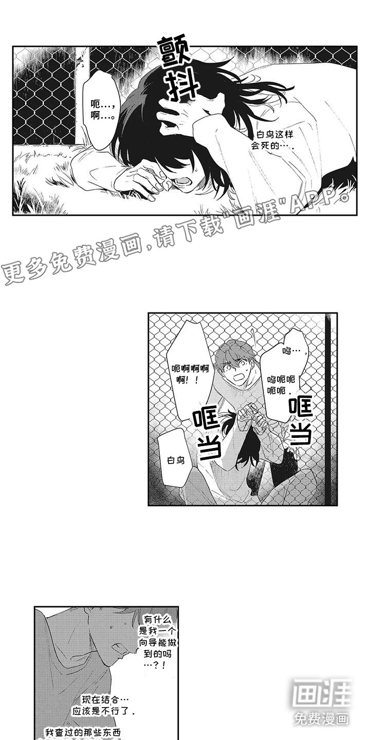 第16章：屏障