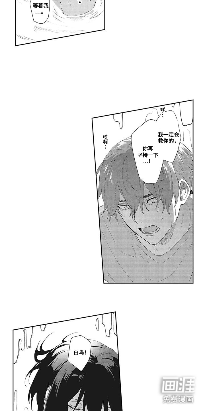 第16章：屏障