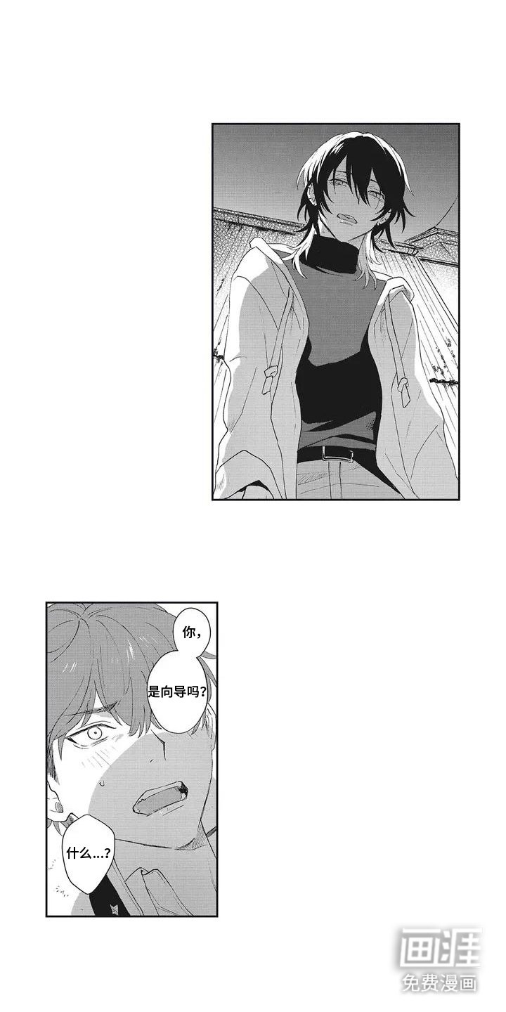 第2章：哨兵