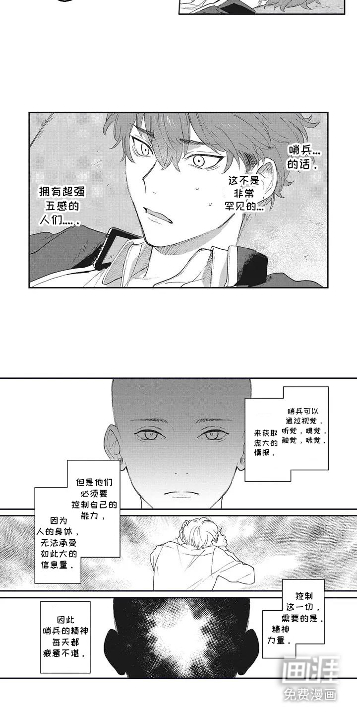 第3章：向导