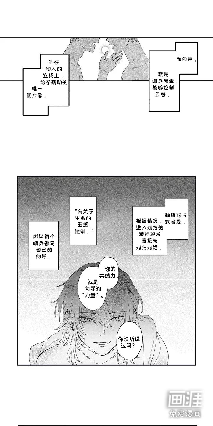 第3章：向导