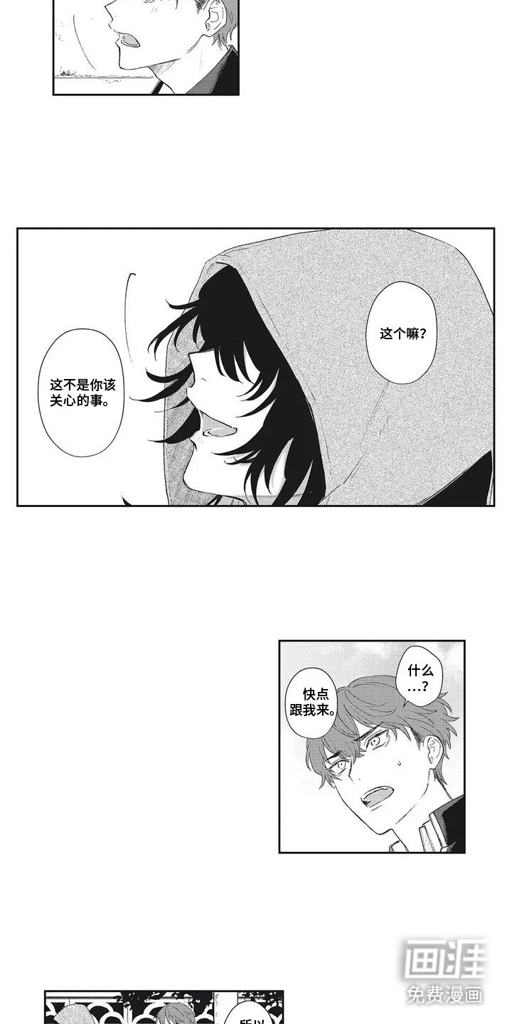 第6章：解释