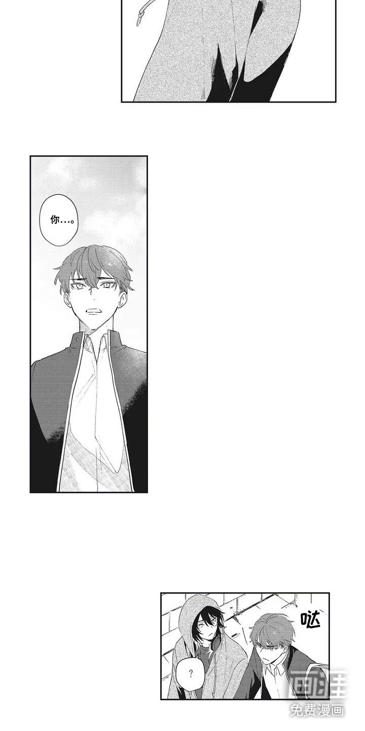 第6章：解释